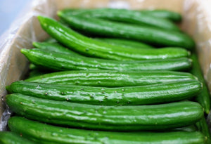 Japanese Cucumber 1 KG